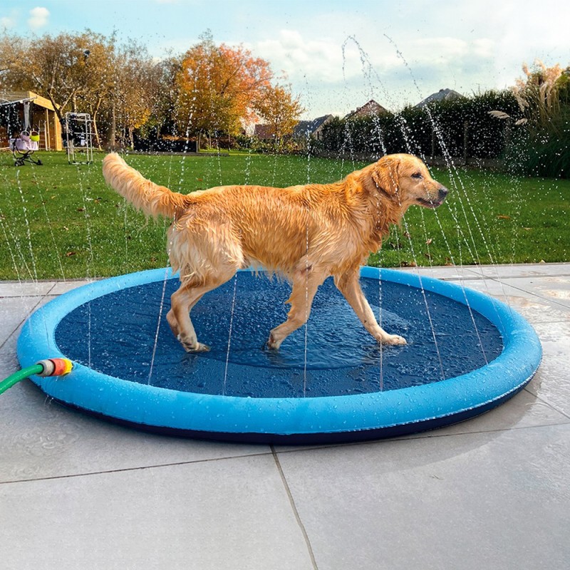 Piscina Splash para cão - Duvo Plus