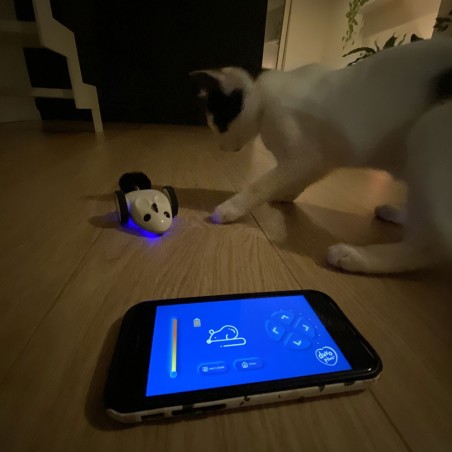 Rato telecomandado Race'n Chase para gatos - Duvo Plus