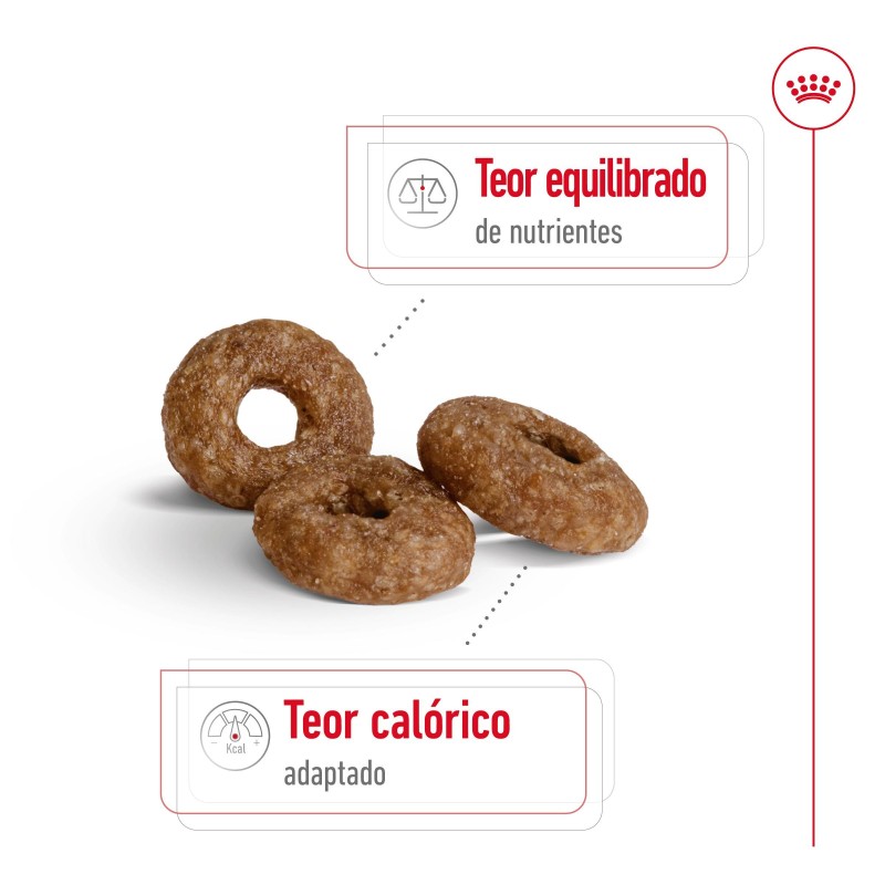 Royal Canin Mini Ageing 12+ - Ração seca para cão sénior