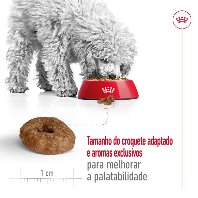 Royal Canin Mini Ageing 12+ - Ração seca para cão sénior