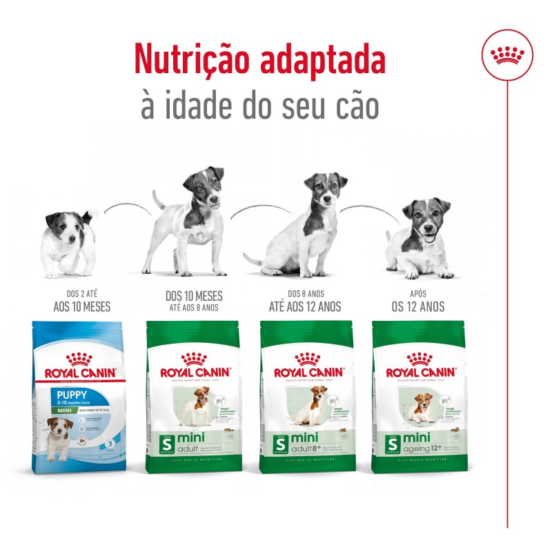 Royal Canin Mini Ageing 12+ - Ração seca para cão sénior