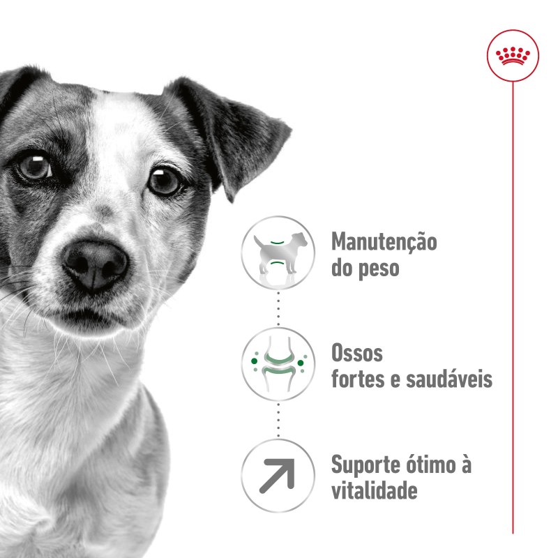 Royal Canin Mini Adult 8+ - Ração seca para cão de porte pequeno com mais de 8 anos