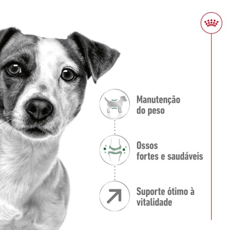 Royal Canin Mini Adult 8+ - Ração seca para cão de porte pequeno com mais de 8 anos