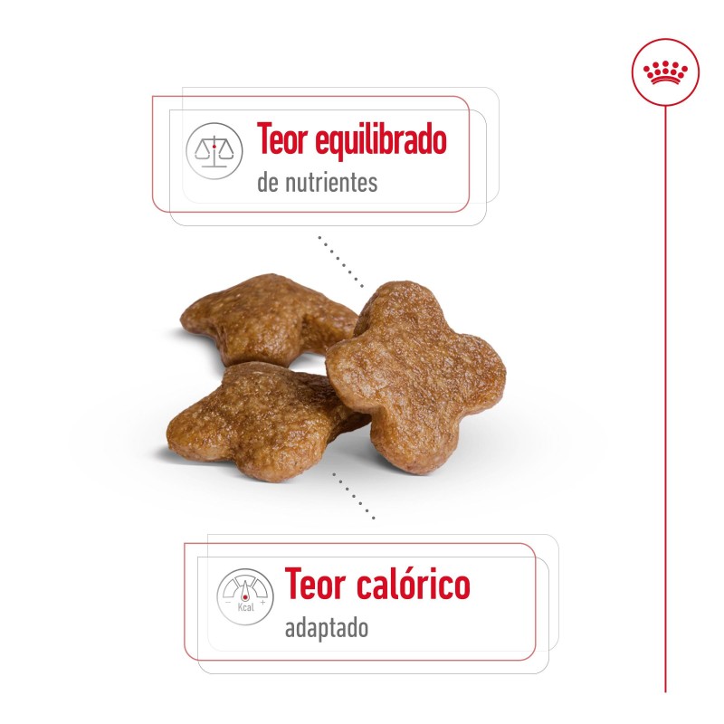 Royal Canin Mini Adult 8+ - Ração seca para cão de porte pequeno com mais de 8 anos