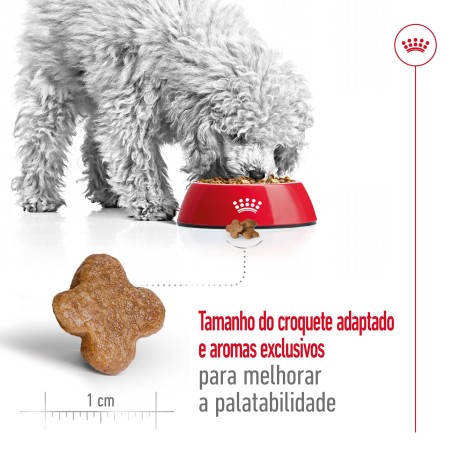 Royal Canin Mini Adult 8+ - Ração seca para cão de porte pequeno com mais de 8 anos