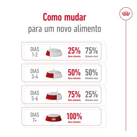 Royal Canin Mini Adult 8+ - Ração seca para cão de porte pequeno com mais de 8 anos