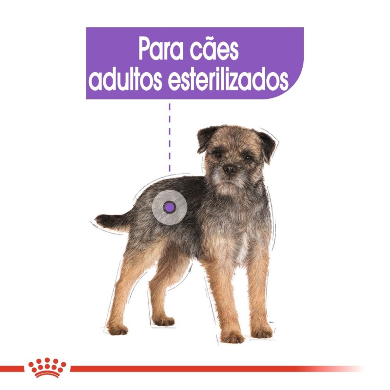 Royal Canin Sterilised Mini Adult - Ração seca para cão esterilizado de porte pequeno