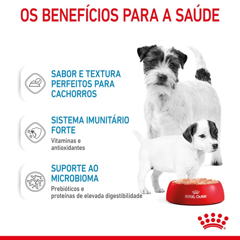 Royal Canin Mother & Babydog Starter - Em mousse