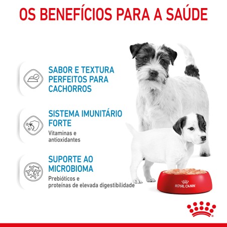 Royal Canin Mother & Babydog Starter - Em mousse