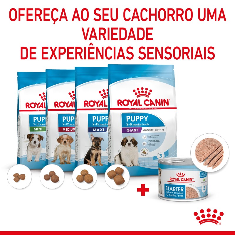 Royal Canin Mother & Babydog Starter - Em mousse