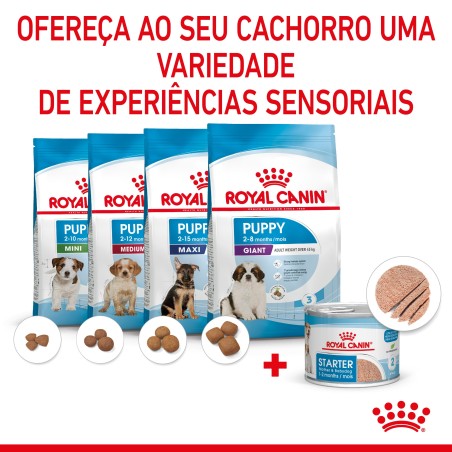 Royal Canin Mother & Babydog Starter - Em mousse