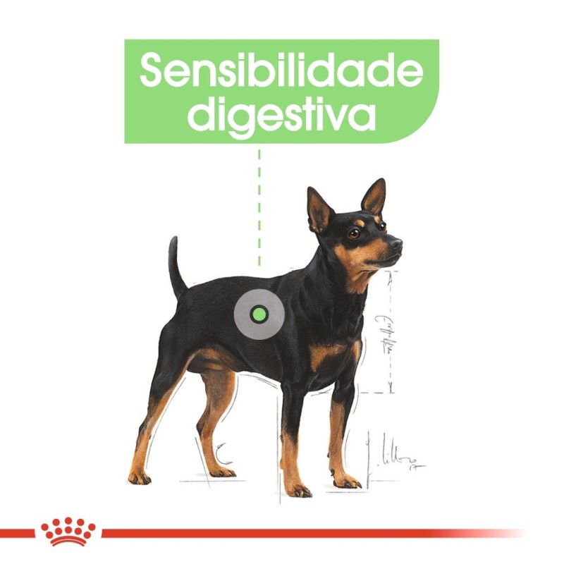 Royal Canin Digestive Care Mini Adult - Ração seca para cão de porte pequeno com sensibilidade digestiva