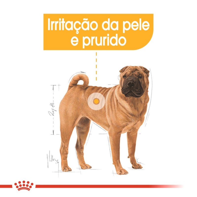 Royal Canin Dermacomfort Medium Adult - Ração seca para cão de porte médio com pele sensível