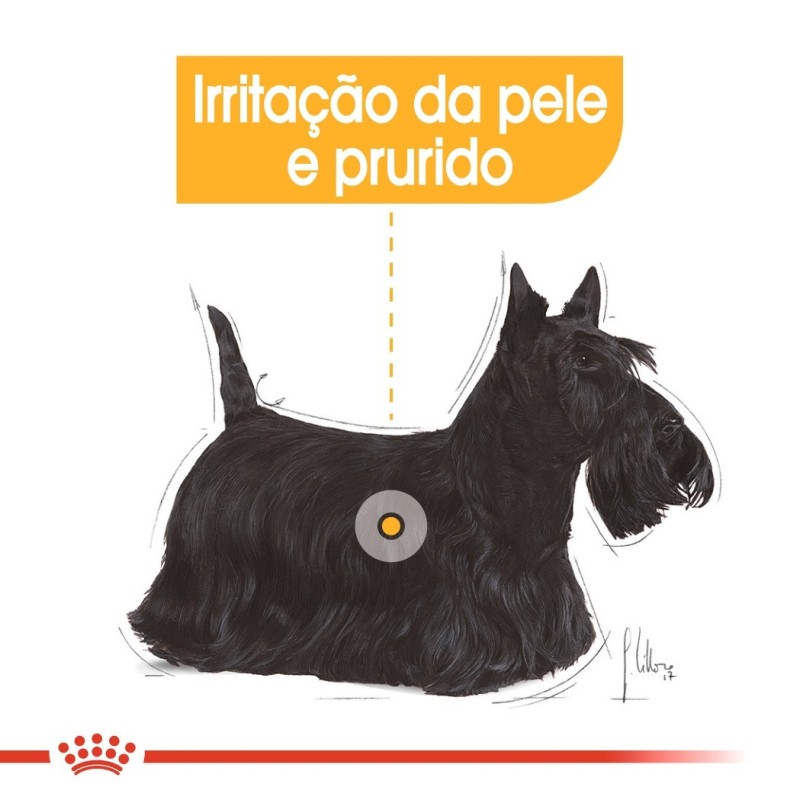 Royal Canin Dermacomfort Mini Adult - Ração seca para cão de porte pequeno com pele sensível