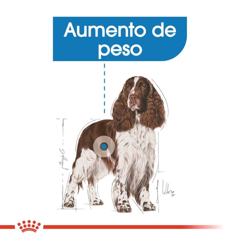 Royal Canin Light Weight Care Medium Adult - Ração seca para cão de porte médio para controlo de peso