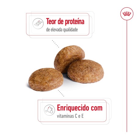 Royal Canin Medium Adult 7+ - Raçao seca para cão maduro de raça média