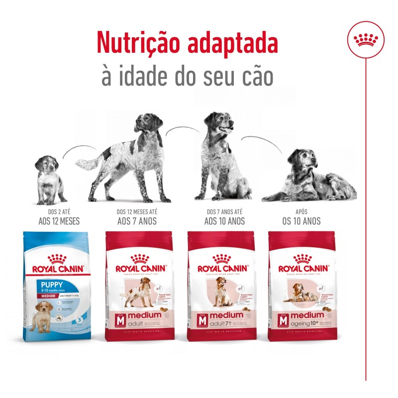 Royal Canin Medium Adult 7+ - Raçao seca para cão maduro de raça média