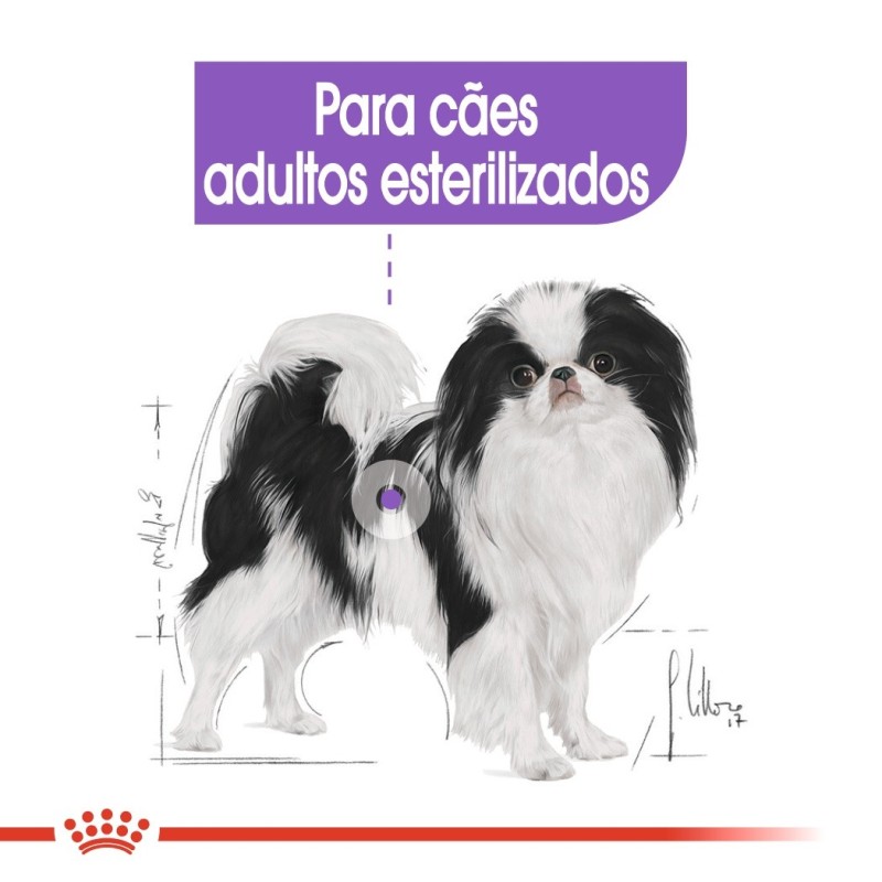 Royal Canin Sterilised X-Small Adult - Ração seca para cão esterilizado de porte muito pequeno