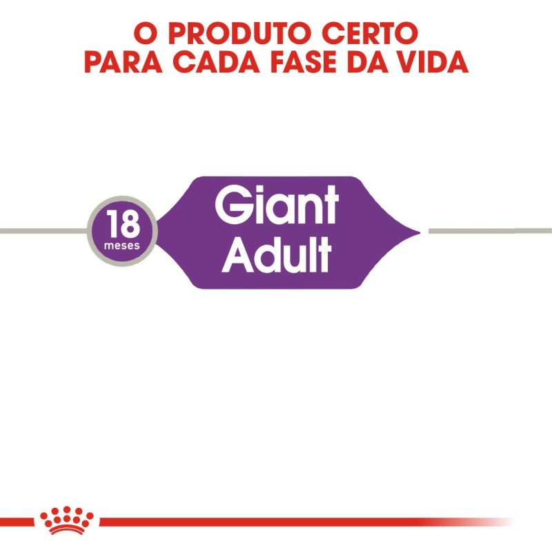 Royal Canin Giant Adult - Ração seca para cão de porte gigante