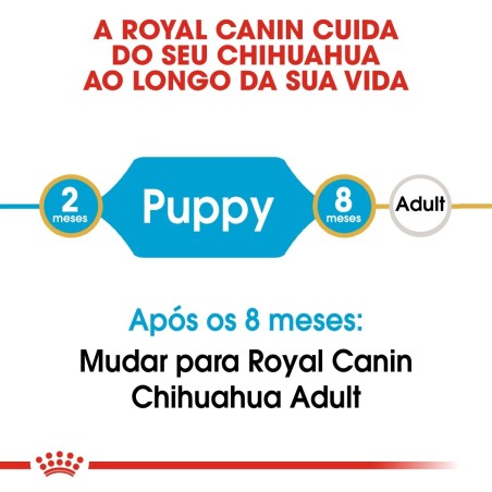 Royal Canin Chihuahua Puppy - Ração seca para cachorro de raça