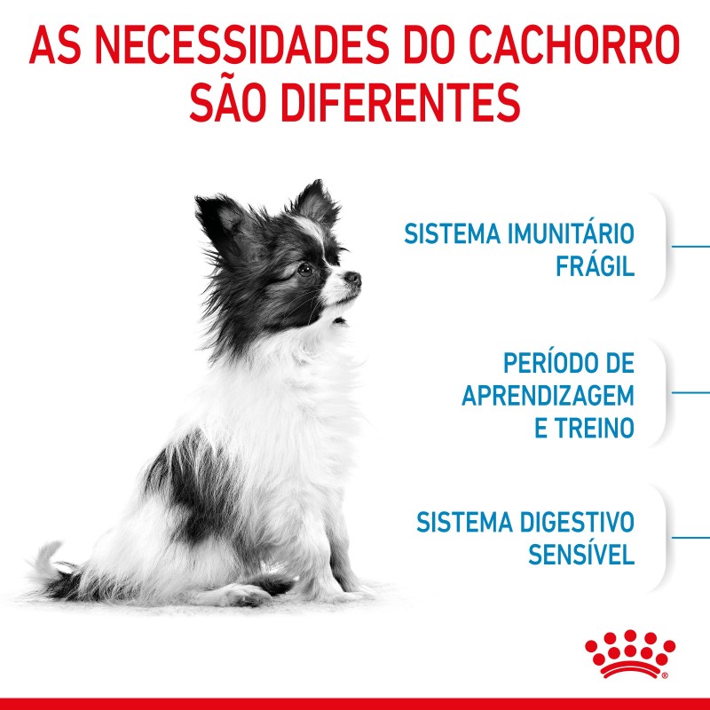 Royal Canin Puppy X-Small - Ração seca para cachorro de porte muito pequeno