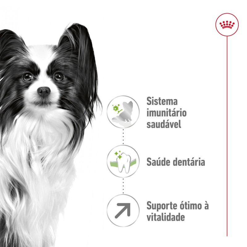 Royal Canin X-Small Adult 8+ - Ração seca para cão muito pequeno com mais de 8 anos