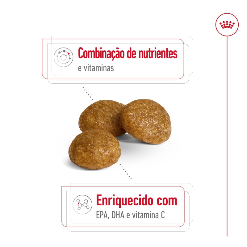 Royal Canin X-Small Adult 8+ - Ração seca para cão muito pequeno com mais de 8 anos