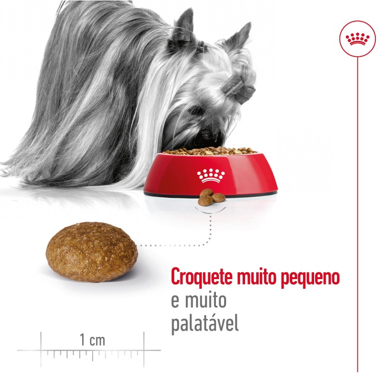 Royal Canin X-Small Adult 8+ - Ração seca para cão muito pequeno com mais de 8 anos