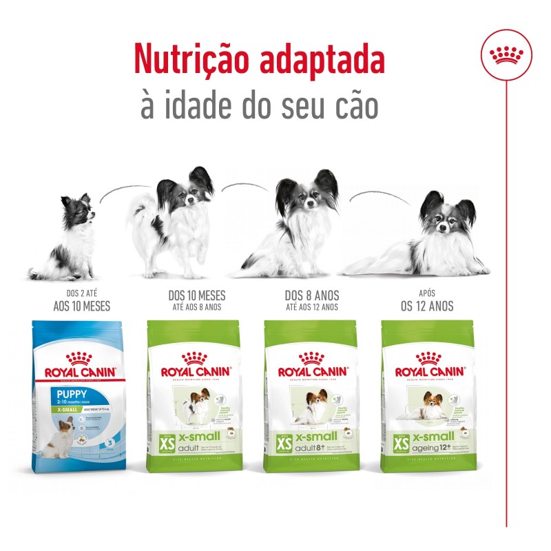 Royal Canin X-Small Adult 8+ - Ração seca para cão muito pequeno com mais de 8 anos