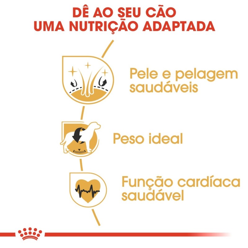 Royal Canin Cocker Adult - Ração seca para cão de raça