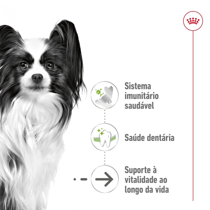 Royal Canin X-Small Adult 12+ - Ração seca para cão muito pequeno com mais de 12 anos