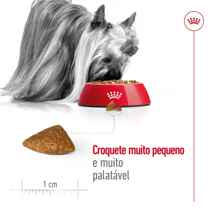 Royal Canin X-Small Adult 12+ - Ração seca para cão muito pequeno com mais de 12 anos