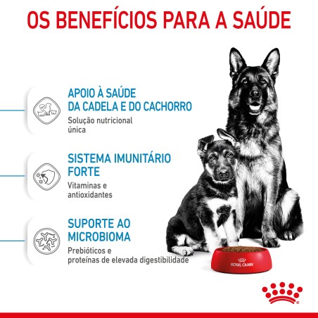 Royal Canin Starter Mother & Babydog Maxi - Ração seca para cachorro recém-nascido e cadela gestante/lactante de porte grande