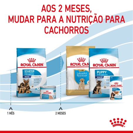 Royal Canin Starter Mother & Babydog Maxi - Ração seca para cachorro recém-nascido e cadela gestante/lactante de porte grande