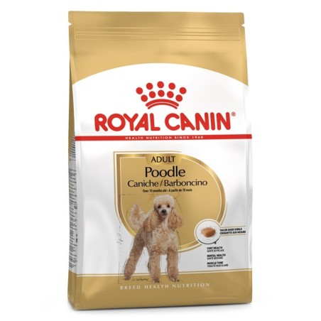 Royal Canin Poodle/Caniche Adult - Ração seca para cão de raça