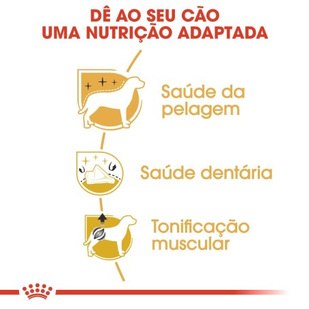 Royal Canin Poodle/Caniche Adult - Ração seca para cão de raça