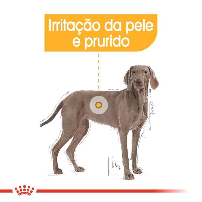 Royal Canin Dermacomfort Maxi Adult - Ração seca para cão de porte grande com pele sensível