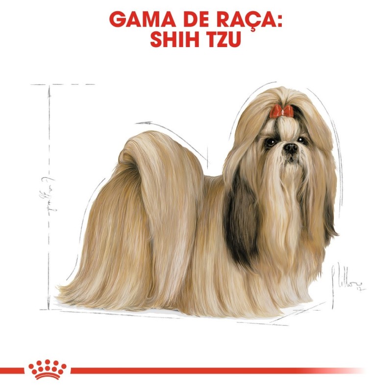 Royal Canin Shih Tzu Adult - Ração seca para cão de raça