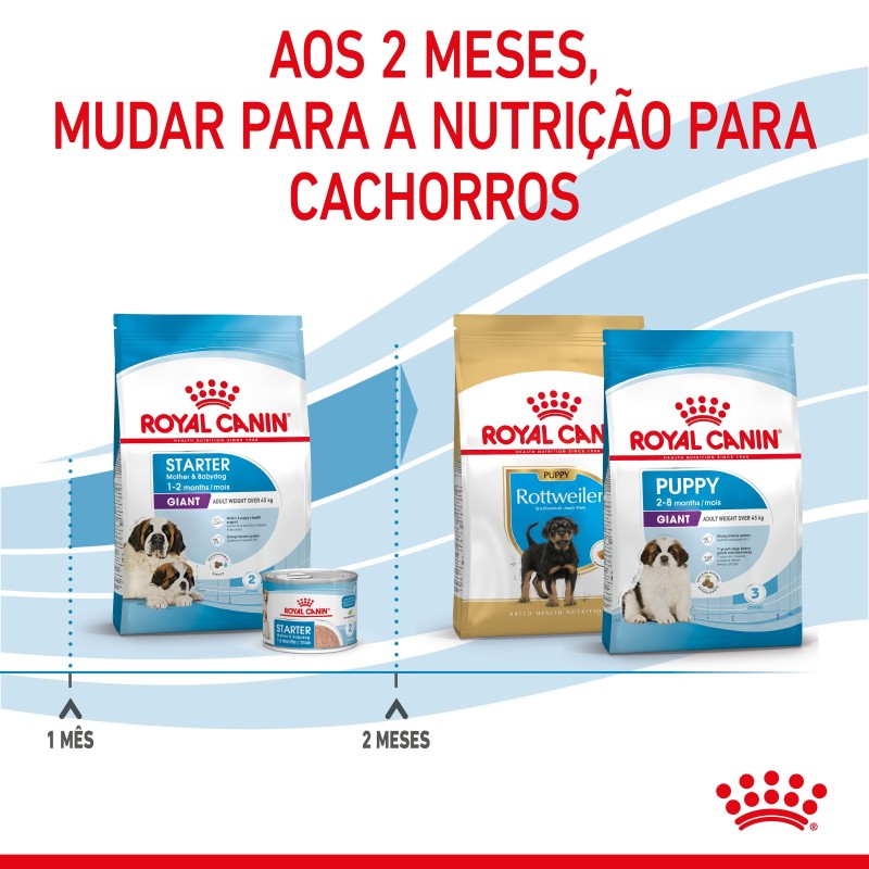 Royal Canin Giant Starter Mother & Babydog - Ração seca para cachorro recém-nascido e cadela gestante/lactante de porte gigante