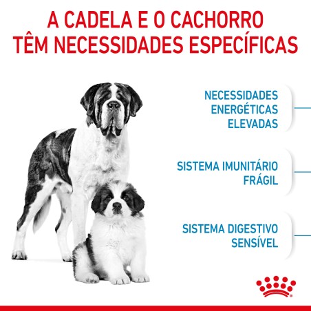 Royal Canin Giant Starter Mother & Babydog - Ração seca para cachorro recém-nascido e cadela gestante/lactante de porte gigante