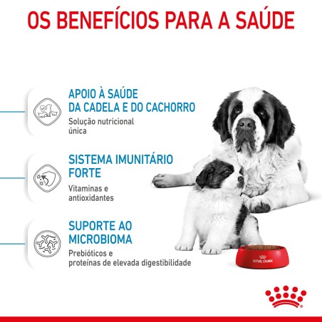 Royal Canin Giant Starter Mother & Babydog - Ração seca para cachorro recém-nascido e cadela gestante/lactante de porte gigante