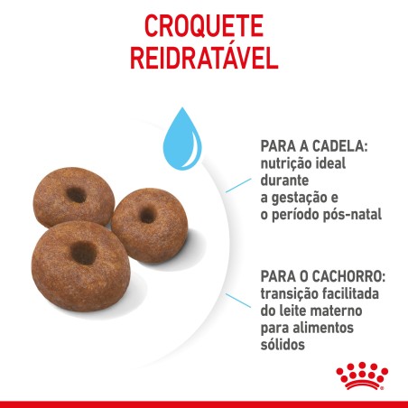 Royal Canin Giant Starter Mother & Babydog - Ração seca para cachorro recém-nascido e cadela gestante/lactante de porte gigante