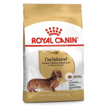 Royal Canin Dachshund Adult - Ração seca para cão de raça