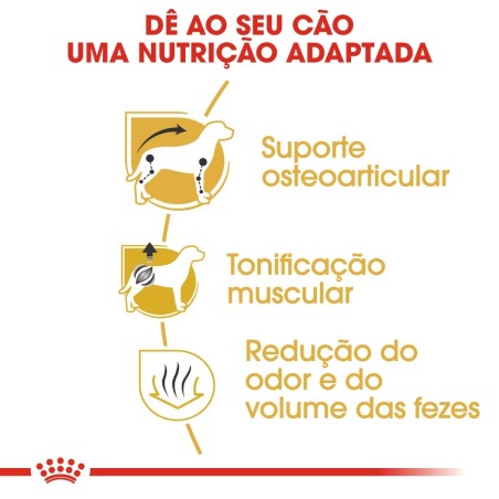 Royal Canin Dachshund Adult - Ração seca para cão de raça