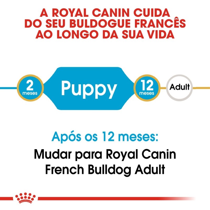 Royal Canin Bulldog Francês Puppy - Ração seca para cachorro de raça