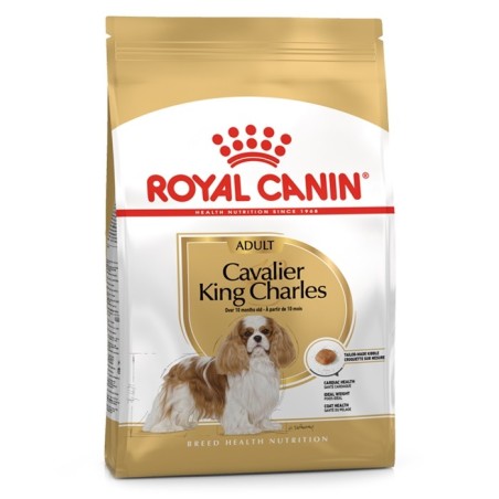 Royal Canin Cavalier King Charles Adult - Ração seca para cão de raça