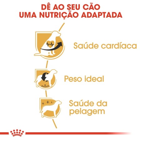 Royal Canin Cavalier King Charles Adult - Ração seca para cão de raça