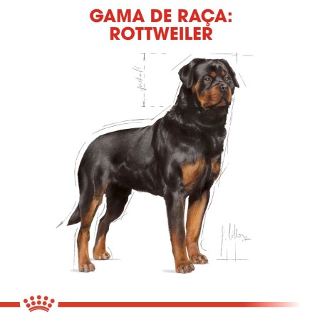 Royal Canin Rottweiler Adult - Ração seca para cão de raça