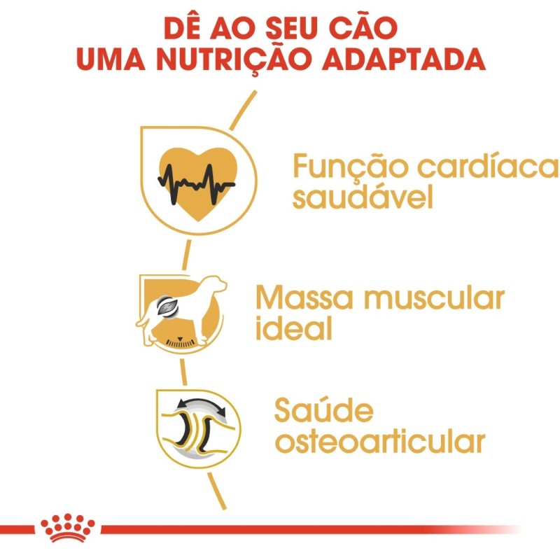 Royal Canin Rottweiler Adult - Ração seca para cão de raça