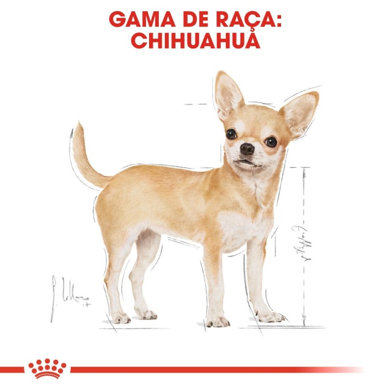 Royal Canin Chihuahua Adult - Ração seca para cão de raça